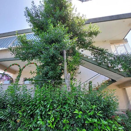 ホテル Casa Di Sofia カステッラーナ・グロッテ エクステリア 写真